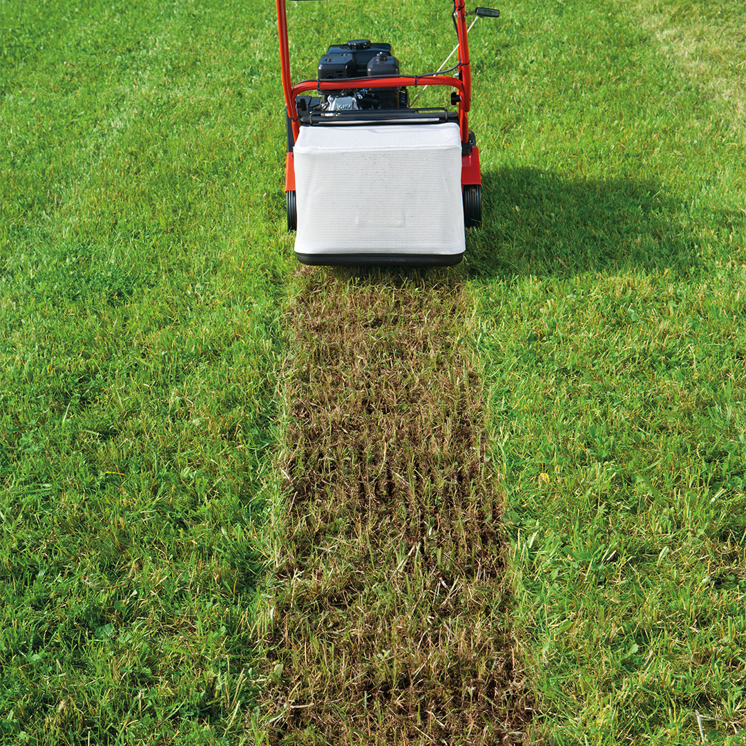 sabo-38-bv-scarificateur-thermique-38-cm image 2